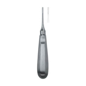 Apical 1