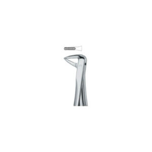 Incisors And Roots 74