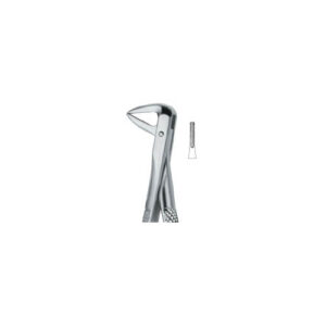 Incisors And Roots 74N