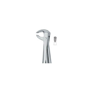 Lower Molars 73