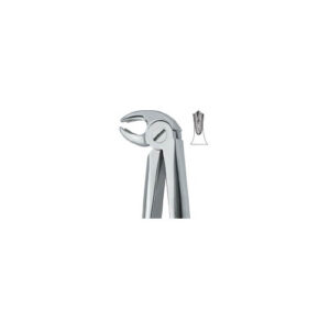 Lower Molars , Universal 22