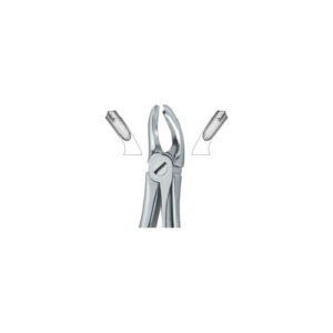 Molars, 18A
