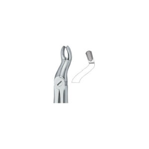 Third Molars 67A