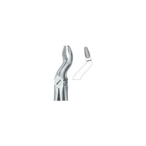 Third Molars Deep Griping 67 N