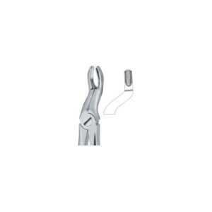 Tooth Extracting Forceps (ENG)