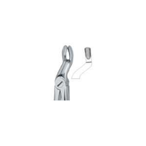 Tooth Extracting Forceps (ENG)
